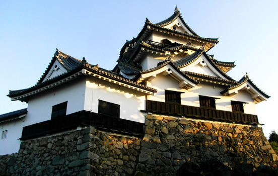 Side-by-side Hikone Castle.jpg