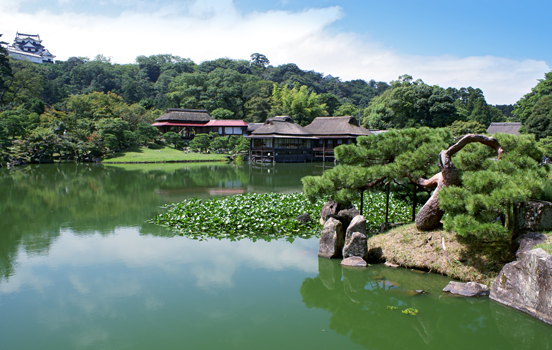 Genkyu-en Garden, right next to Hikone Castle