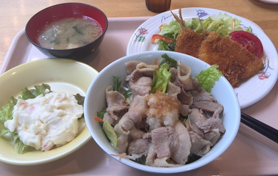 Shiga Universities' Cafeteria Side-by-Side.jpg