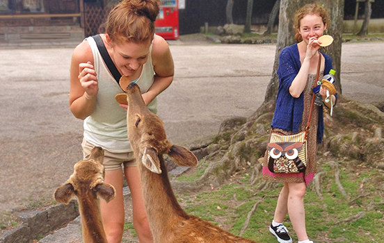Two JCMU students laughing and feeding deer in Nara, Japan
